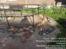 Петровское шоссе 48_6 Петровское шоссе 48_6
