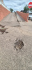 заводской 12_19