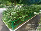 Ремезова 8_5 Ремезова 8_5