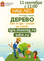 ПОСАДИ СВОЕ ДЕРЕВО