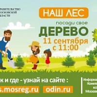 ПОСАДИ СВОЕ ДЕРЕВО