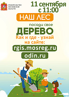 ПОСАДИ СВОЕ ДЕРЕВО